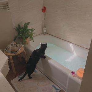 游泳爆乳露双奶头被教练玩弄
