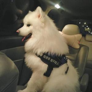 游泳爆乳露双奶头被教练玩弄
