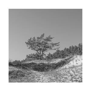 游泳爆乳露双奶头被教练玩弄
